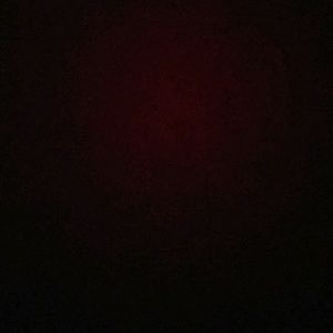 Meet your Posher, Rayshonda